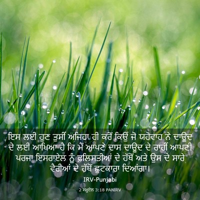 Picture 03 - 2 ਸਮੂਏਲ 3:18 PANIRV - ਇਸ ਲਈ ਹੁਣ ਤੁਸੀਂ - Bible Verse Picture