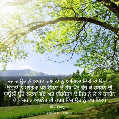 Picture 03 - 2 ਸਮੂਏਲ 4:12 PANIRV - ਤਦ ਦਾਊਦ ਨੇ ਆਪਣੇ - Bible Verse Picture