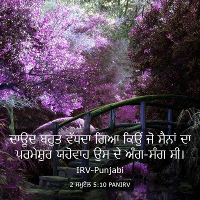 Picture 03 - 2 ਸਮੂਏਲ 5:10 PANIRV - ਦਾਊਦ ਬਹੁਤ ਵੱਧਦਾ - Bible Verse Picture
