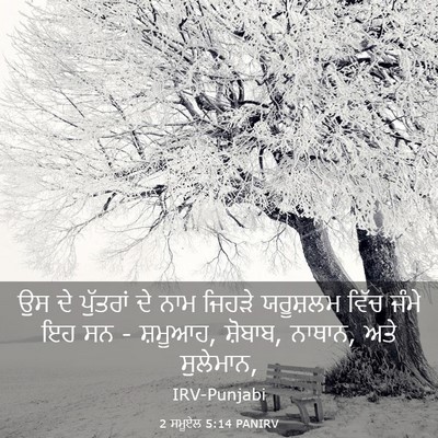 Picture 03 - 2 ਸਮੂਏਲ 5:14 PANIRV - ਉਸ ਦੇ ਪੁੱਤਰਾਂ ਦੇ - Bible Verse Picture