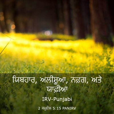 Picture 03 - 2 ਸਮੂਏਲ 5:15 PANIRV - ਯਿਬਹਾਰ, ਅਲੀਸ਼ੂਆ, - Bible Verse Picture