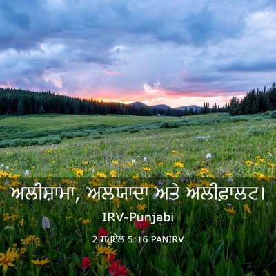 Picture 03 - 2 ਸਮੂਏਲ 5:16 PANIRV - ਅਲੀਸ਼ਾਮਾ, ਅਲਯਾਦਾ - Bible Verse Picture