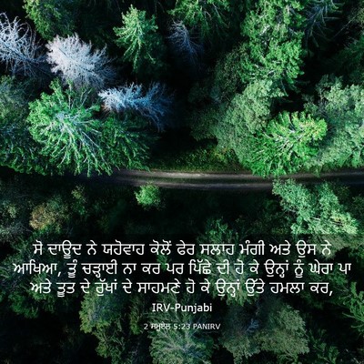 Picture 03 - 2 ਸਮੂਏਲ 5:23 PANIRV - ਸੋ ਦਾਊਦ ਨੇ ਯਹੋਵਾਹ - Bible Verse Picture