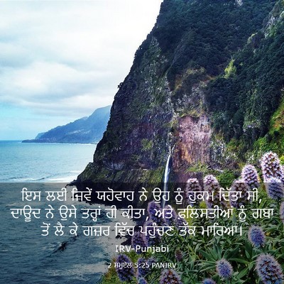 Picture 03 - 2 ਸਮੂਏਲ 5:25 PANIRV - ਇਸ ਲਈ ਜਿਵੇਂ ਯਹੋਵਾਹ - Bible Verse Picture