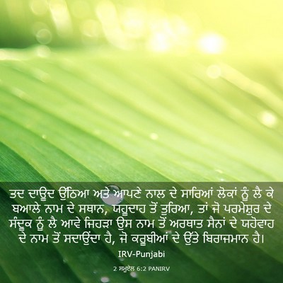 Picture 03 - 2 ਸਮੂਏਲ 6:2 PANIRV - ਤਦ ਦਾਊਦ ਉੱਠਿਆ ਅਤੇ - Bible Verse Picture