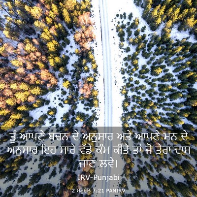 Picture 03 - 2 ਸਮੂਏਲ 7:21 PANIRV - ਤੂੰ ਆਪਣੇ ਬਚਨ ਦੇ - Bible Verse Picture
