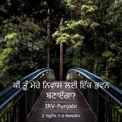Picture 03 - 2 ਸਮੂਏਲ 7:5 PANIRV - ਕੀ ਤੂੰ ਮੇਰੇ ਨਿਵਾਸ - Bible Verse Picture
