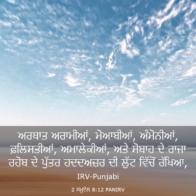Picture 03 - 2 ਸਮੂਏਲ 8:12 PANIRV - ਅਰਥਾਤ ਅਰਾਮੀਆਂ, - Bible Verse Picture