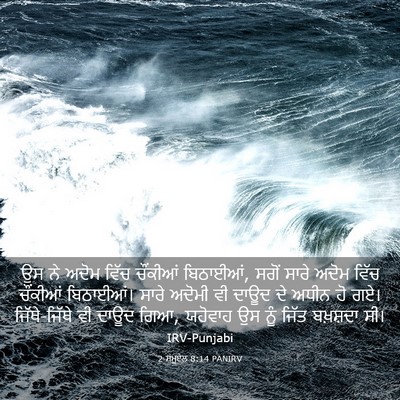 Picture 03 - 2 ਸਮੂਏਲ 8:14 PANIRV - ਉਸ ਨੇ ਅਦੋਮ ਵਿੱਚ - Bible Verse Picture