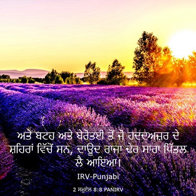 Picture 03 - 2 ਸਮੂਏਲ 8:8 PANIRV - ਅਤੇ ਬਟਹ ਅਤੇ ਬੇਰੋਤਈ - Bible Verse Picture