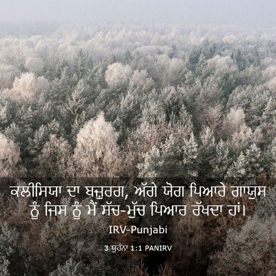 Picture 03 - 3 ਯੂਹੰਨਾ 1:1 PANIRV - ਕਲੀਸਿਯਾ ਦਾ ਬਜ਼ੁਰਗ, - Bible Verse Picture