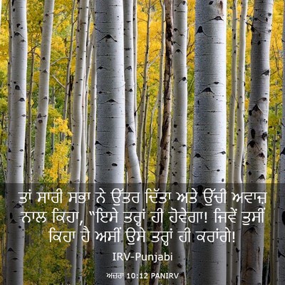 Picture 03 - ਅਜ਼ਰਾ 10:12 PANIRV - ਤਾਂ ਸਾਰੀ ਸਭਾ ਨੇ - Bible Verse Picture