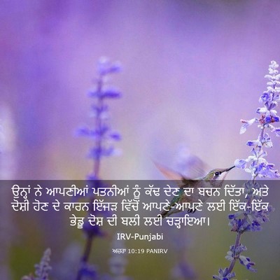 Picture 03 - ਅਜ਼ਰਾ 10:19 PANIRV - ਉਨ੍ਹਾਂ ਨੇ ਆਪਣੀਆਂ - Bible Verse Picture
