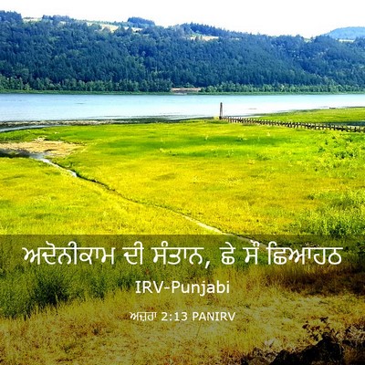 Picture 03 - ਅਜ਼ਰਾ 2:13 PANIRV - ਅਦੋਨੀਕਾਮ ਦੀ ਸੰਤਾਨ, - Bible Verse Picture