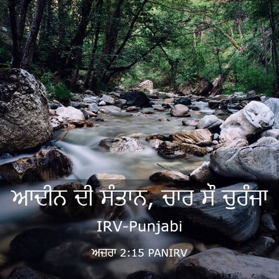 Picture 03 - ਅਜ਼ਰਾ 2:15 PANIRV - ਆਦੀਨ ਦੀ ਸੰਤਾਨ, ਚਾਰ - Bible Verse Picture