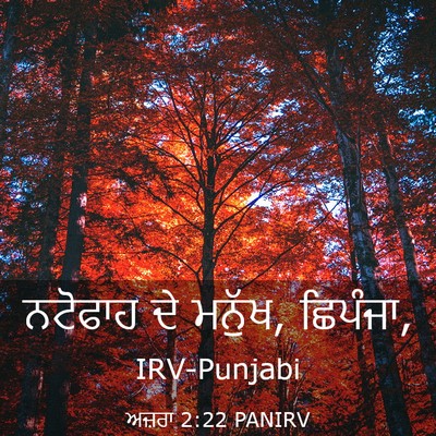 Picture 03 - ਅਜ਼ਰਾ 2:22 PANIRV - ਨਟੋਫਾਹ ਦੇ ਮਨੁੱਖ, - Bible Verse Picture