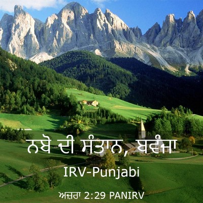 Picture 03 - ਅਜ਼ਰਾ 2:29 PANIRV - ਨਬੋ ਦੀ ਸੰਤਾਨ, - Bible Verse Picture