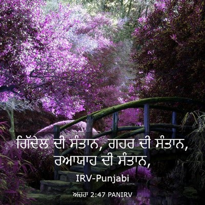 Picture 03 - ਅਜ਼ਰਾ 2:47 PANIRV - ਗਿੱਦੇਲ ਦੀ ਸੰਤਾਨ, - Bible Verse Picture