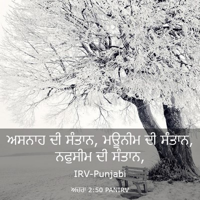 Picture 03 - ਅਜ਼ਰਾ 2:50 PANIRV - ਅਸਨਾਹ ਦੀ ਸੰਤਾਨ, - Bible Verse Picture