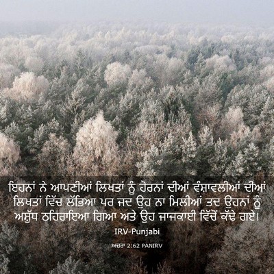 Picture 03 - ਅਜ਼ਰਾ 2:62 PANIRV - ਇਹਨਾਂ ਨੇ ਆਪਣੀਆਂ - Bible Verse Picture