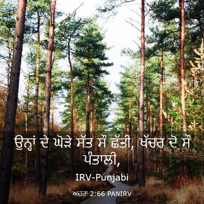 Picture 03 - ਅਜ਼ਰਾ 2:66 PANIRV - ਉਨ੍ਹਾਂ ਦੇ ਘੋੜੇ ਸੱਤ - Bible Verse Picture
