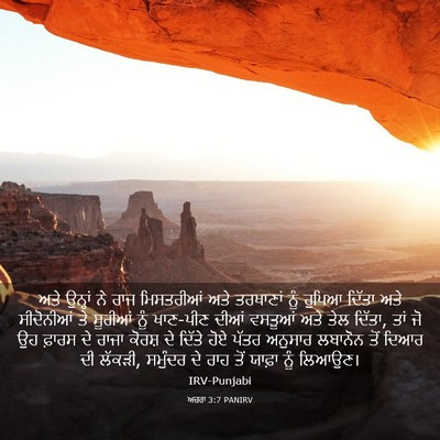 Picture 03 - ਅਜ਼ਰਾ 3:7 PANIRV - ਅਤੇ ਉਨ੍ਹਾਂ ਨੇ ਰਾਜ - Bible Verse Picture