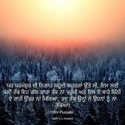 Picture 03 - ਅਜ਼ਰਾ 5:5 PANIRV - ਪਰ ਪਰਮੇਸ਼ੁਰ ਦੀ - Bible Verse Picture