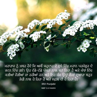 Picture 03 - ਅਜ਼ਰਾ 5:8 PANIRV - ਮਹਾਰਾਜ ਨੂੰ ਖ਼ਬਰ - Bible Verse Picture