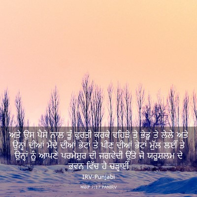 Picture 03 - ਅਜ਼ਰਾ 7:17 PANIRV - ਅਤੇ ਉਸ ਪੈਸੇ ਨਾਲ ਤੂੰ - Bible Verse Picture