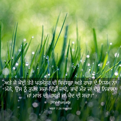 Picture 03 - ਅਜ਼ਰਾ 7:26 PANIRV - ਅਤੇ ਜੋ ਕੋਈ ਤੇਰੇ - Bible Verse Picture
