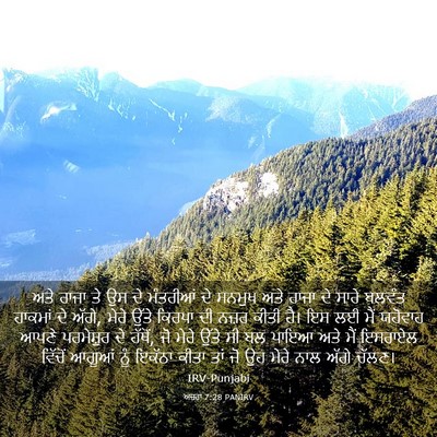 Picture 03 - ਅਜ਼ਰਾ 7:28 PANIRV - ਅਤੇ ਰਾਜਾ ਤੇ ਉਸ ਦੇ - Bible Verse Picture