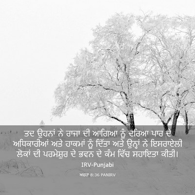 Picture 03 - ਅਜ਼ਰਾ 8:36 PANIRV - ਤਦ ਉਹਨਾਂ ਨੇ ਰਾਜਾ ਦੀ - Bible Verse Picture