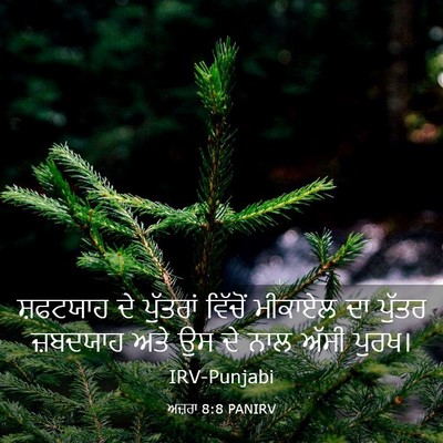 Picture 03 - ਅਜ਼ਰਾ 8:8 PANIRV - ਸ਼ਫਟਯਾਹ ਦੇ - Bible Verse Picture