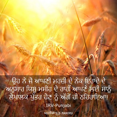 Picture 03 - ਅਫ਼ਸੀਆਂ 1:5 PANIRV - ਉਹ ਨੇ ਜੋ ਆਪਣੀ ਮਰਜ਼ੀ - Bible Verse Picture