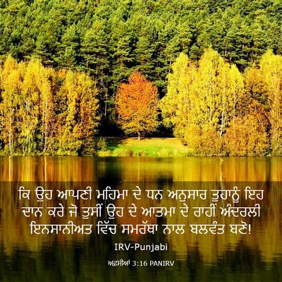 Picture 03 - ਅਫ਼ਸੀਆਂ 3:16 PANIRV - ਕਿ ਉਹ ਆਪਣੀ ਮਹਿਮਾ ਦੇ - Bible Verse Picture