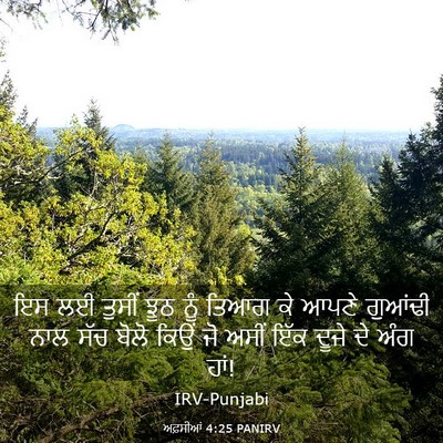 Picture 03 - ਅਫ਼ਸੀਆਂ 4:25 PANIRV - ਇਸ ਲਈ ਤੁਸੀਂ ਝੂਠ ਨੂੰ - Bible Verse Picture