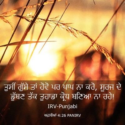 Picture 03 - ਅਫ਼ਸੀਆਂ 4:26 PANIRV - ਤੁਸੀਂ ਗੁੱਸੇ ਤਾਂ - Bible Verse Picture