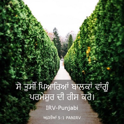 Picture 03 - ਅਫ਼ਸੀਆਂ 5:1 PANIRV - ਸੋ ਤੁਸੀਂ ਪਿਆਰਿਆਂ - Bible Verse Picture