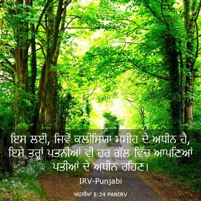 Picture 03 - ਅਫ਼ਸੀਆਂ 5:24 PANIRV - ਇਸ ਲਈ, ਜਿਵੇਂ - Bible Verse Picture