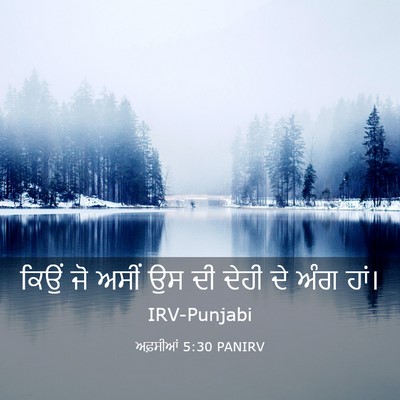 Picture 03 - ਅਫ਼ਸੀਆਂ 5:30 PANIRV - ਕਿਉਂ ਜੋ ਅਸੀਂ ਉਸ ਦੀ - Bible Verse Picture
