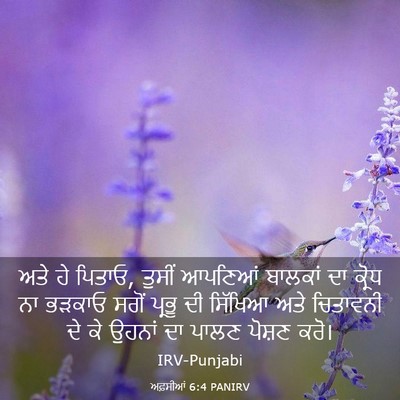 Picture 03 - ਅਫ਼ਸੀਆਂ 6:4 PANIRV - ਅਤੇ ਹੇ ਪਿਤਾਓ, ਤੁਸੀਂ - Bible Verse Picture