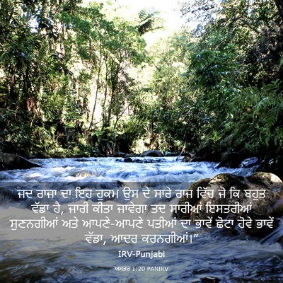 Picture 03 - ਅਸਤਰ 1:20 PANIRV - ਜਦ ਰਾਜਾ ਦਾ ਇਹ ਹੁਕਮ - Bible Verse Picture