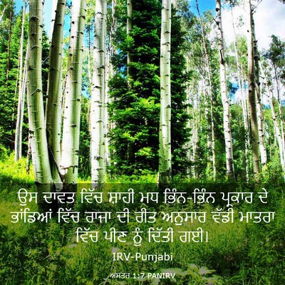 Picture 03 - ਅਸਤਰ 1:7 PANIRV - ਉਸ ਦਾਵਤ ਵਿੱਚ ਸ਼ਾਹੀ - Bible Verse Picture