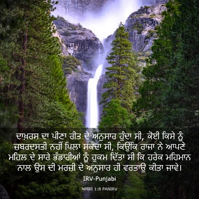 Picture 03 - ਅਸਤਰ 1:8 PANIRV - ਦਾਖ਼ਰਸ ਦਾ ਪੀਣਾ ਰੀਤ - Bible Verse Picture