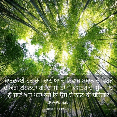 Picture 03 - ਅਸਤਰ 2:11 PANIRV - ਮਾਰਦਕਈ ਹਰ ਰੋਜ਼ - Bible Verse Picture