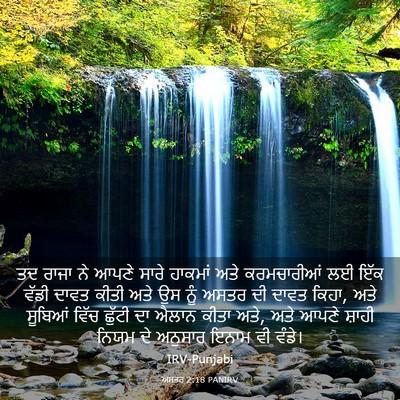 Picture 03 - ਅਸਤਰ 2:18 PANIRV - ਤਦ ਰਾਜਾ ਨੇ ਆਪਣੇ - Bible Verse Picture