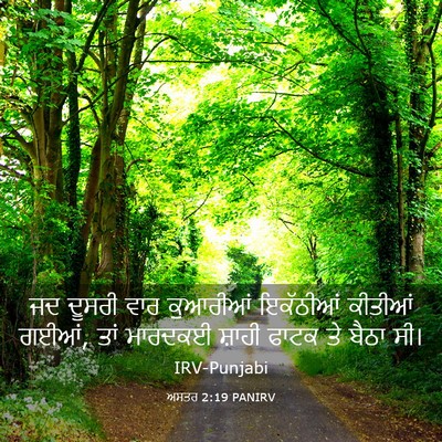 Picture 03 - ਅਸਤਰ 2:19 PANIRV - ਜਦ ਦੂਸਰੀ ਵਾਰ - Bible Verse Picture
