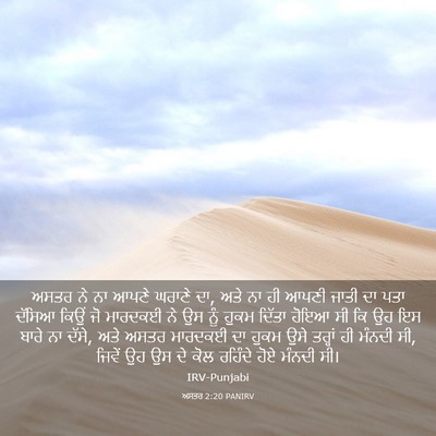 Picture 03 - ਅਸਤਰ 2:20 PANIRV - ਅਸਤਰ ਨੇ ਨਾ ਆਪਣੇ - Bible Verse Picture