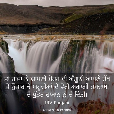 Picture 03 - ਅਸਤਰ 3:10 PANIRV - ਤਾਂ ਰਾਜਾ ਨੇ ਆਪਣੀ - Bible Verse Picture
