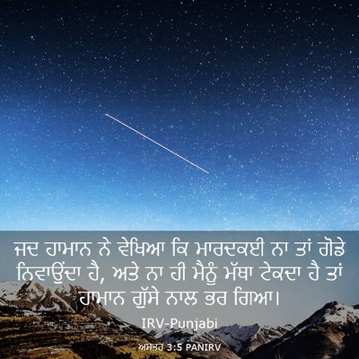 Picture 03 - ਅਸਤਰ 3:5 PANIRV - ਜਦ ਹਾਮਾਨ ਨੇ ਵੇਖਿਆ - Bible Verse Picture
